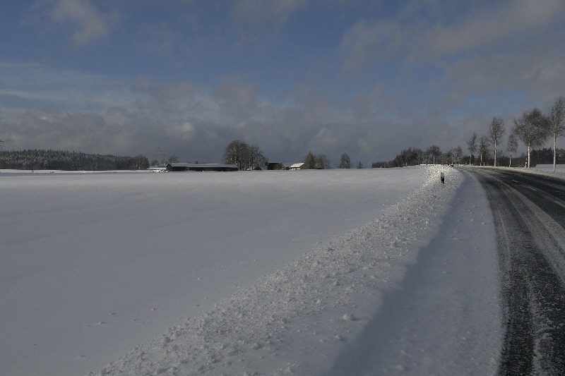 Winter - Impressionen