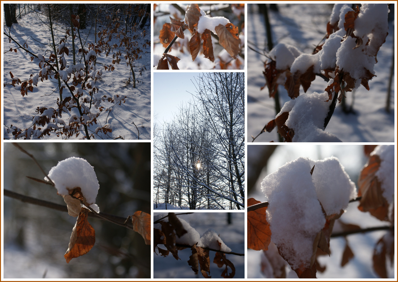 Winter-Impressionen