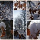 Winter-Impressionen