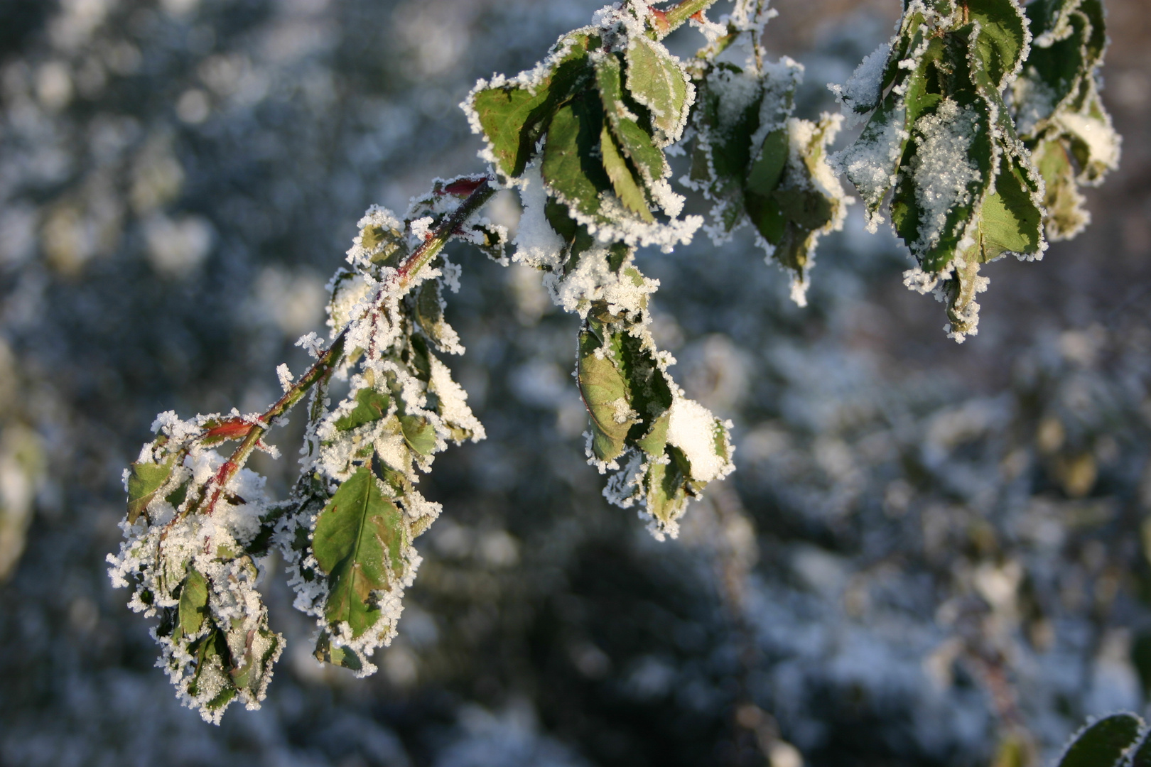 Winter-Impressionen