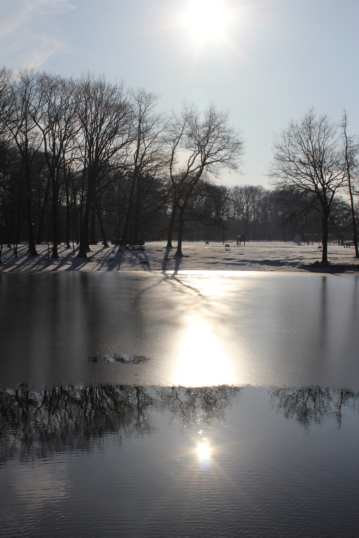 Winter Impressionen