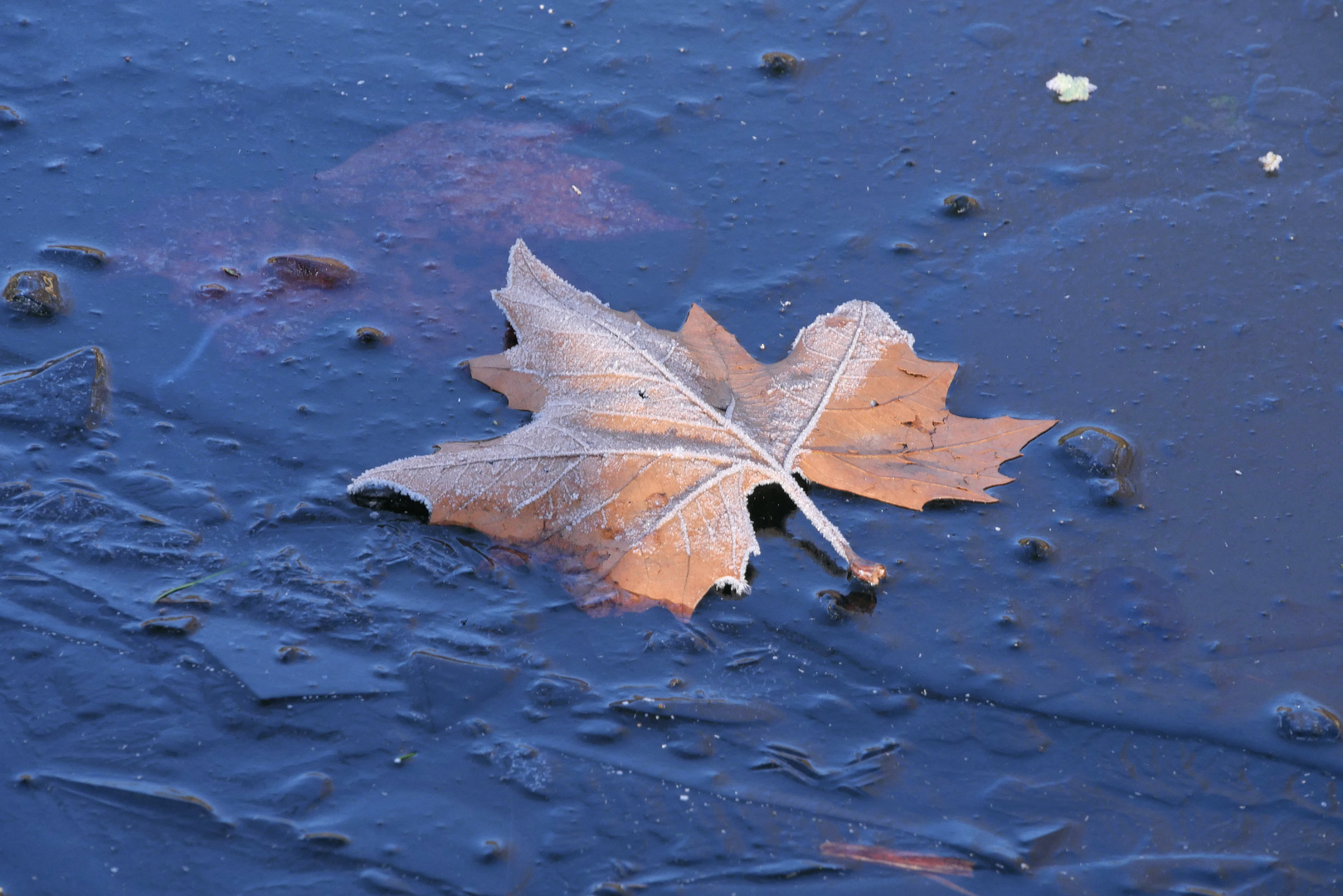 Winter Impressionen