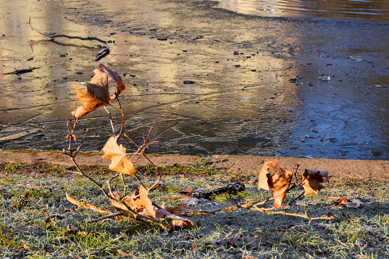 winter impressionen