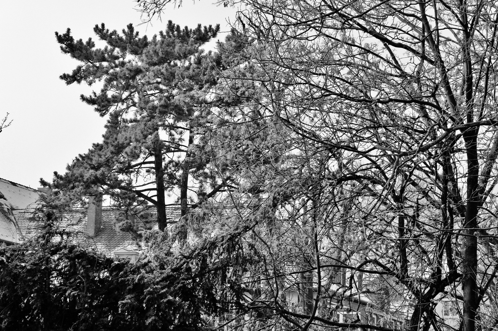 Winter Impressionen