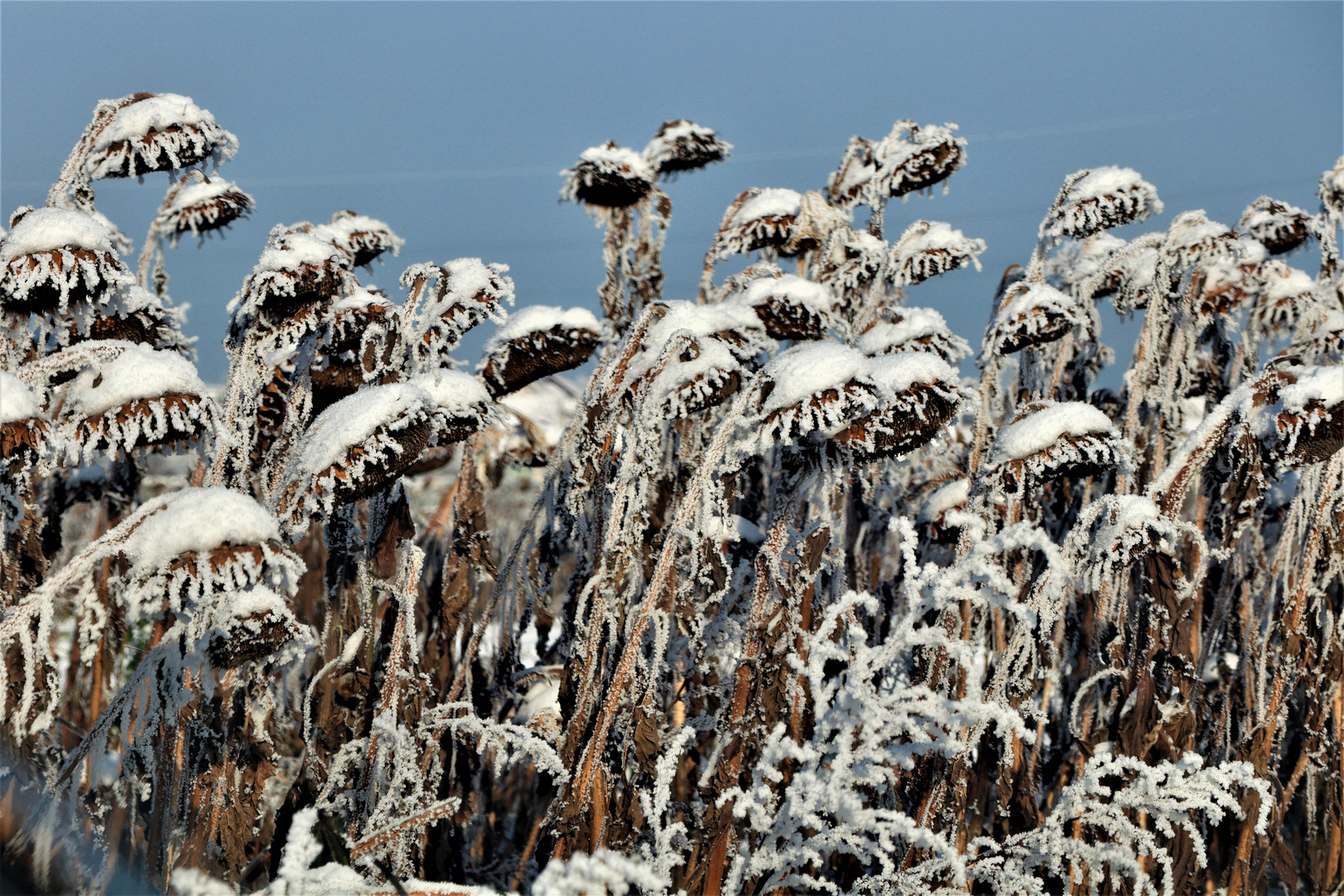 Winter Impressionen 