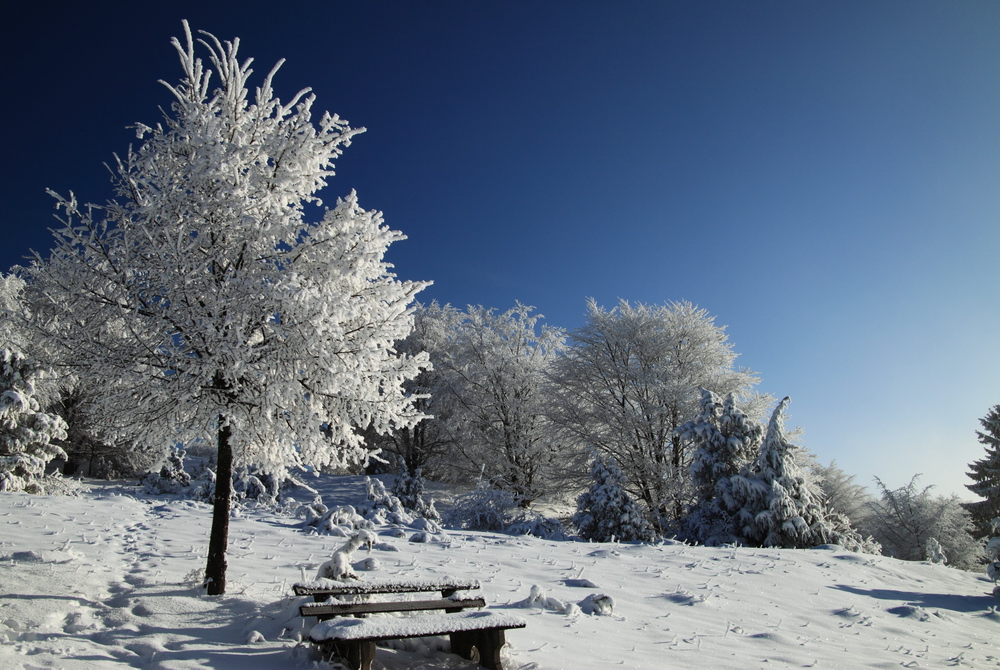 Winter-Impressionen Albstadt-Onstmettingen