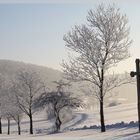 Winter-Impressionen am Kornbühl