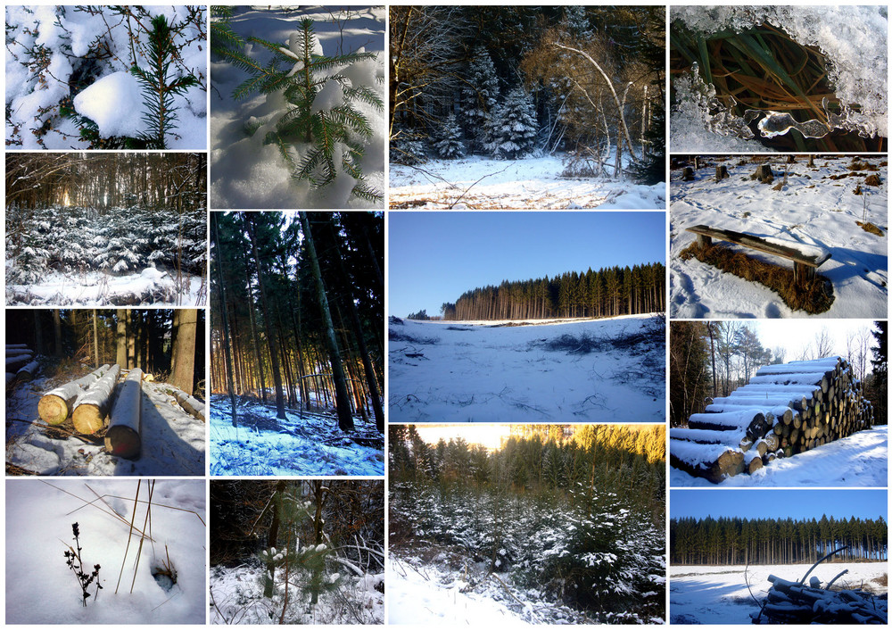 Winter - Impressionen aus dem Bergischen Land