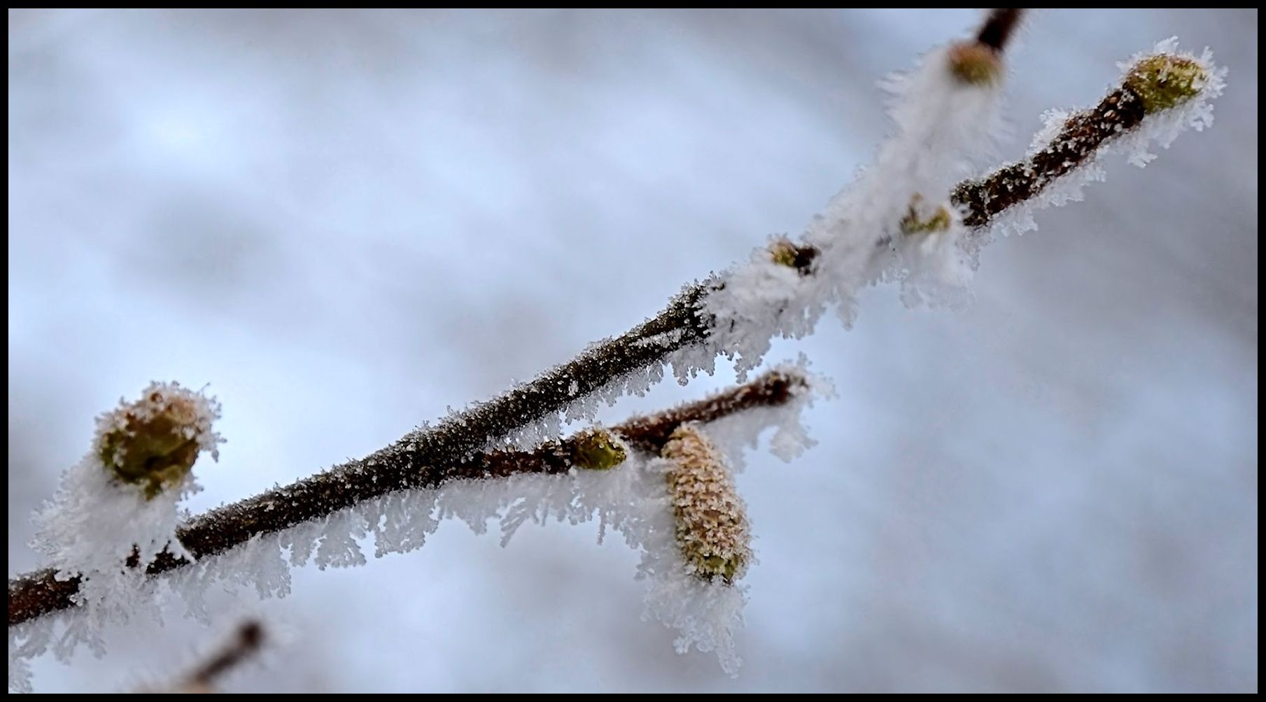 Winter Impressionen