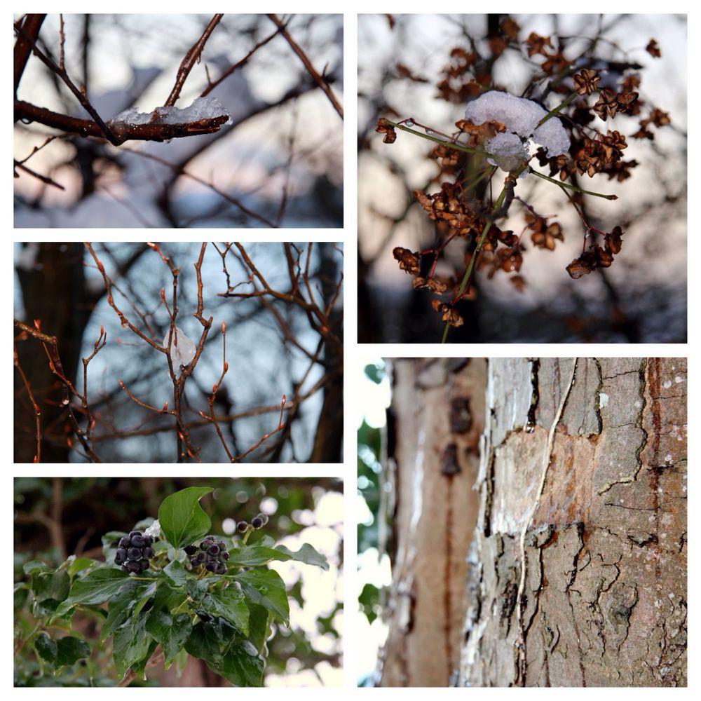 Winter Impressionen