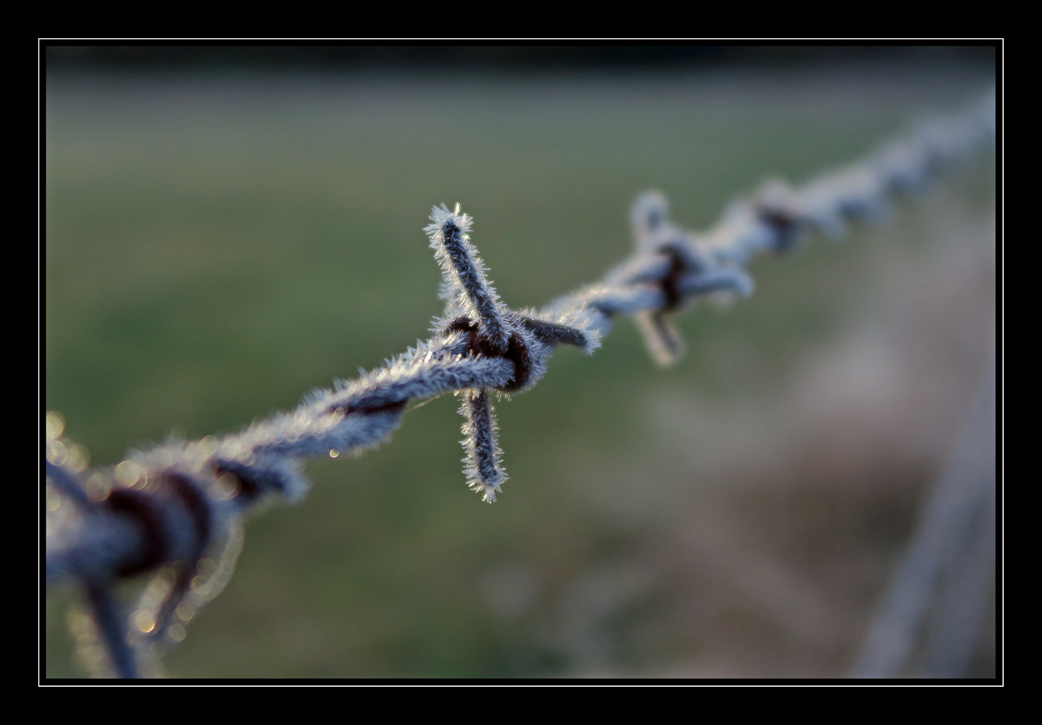 > Winter Impressionen 