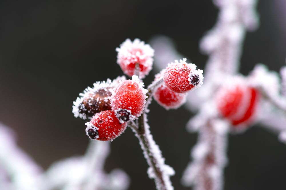 Winter-Impressionen