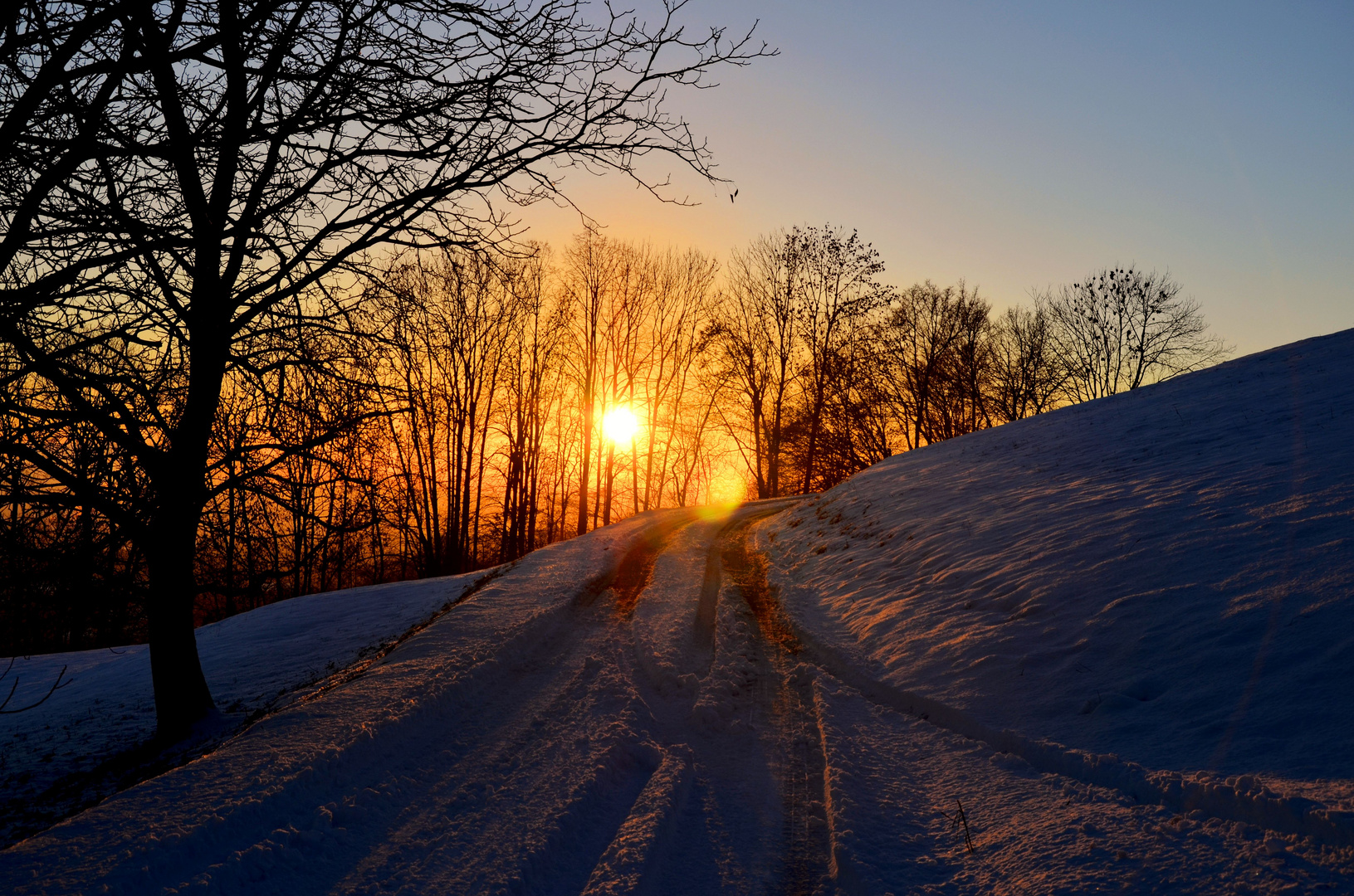 Winter Impressionen