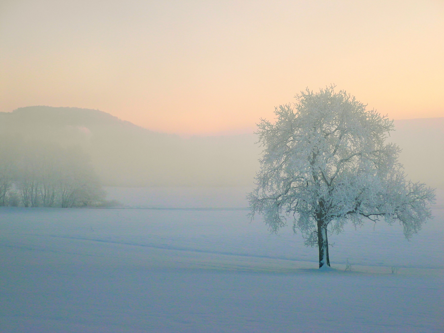 Winter Impressionen