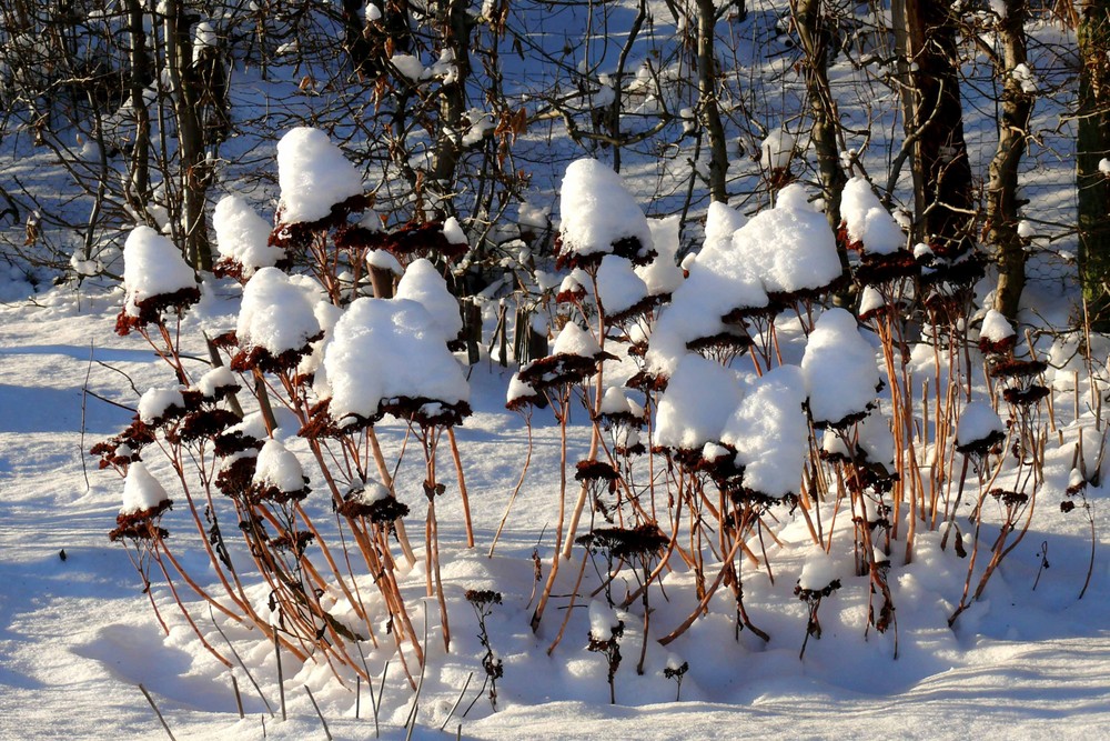 Winter-Impressionen II