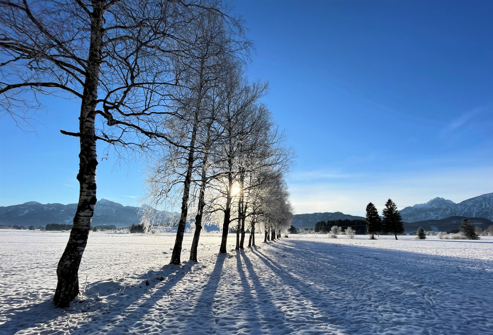 Winter Impressionen in Schwangau