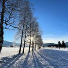 Winter Impressionen in Schwangau