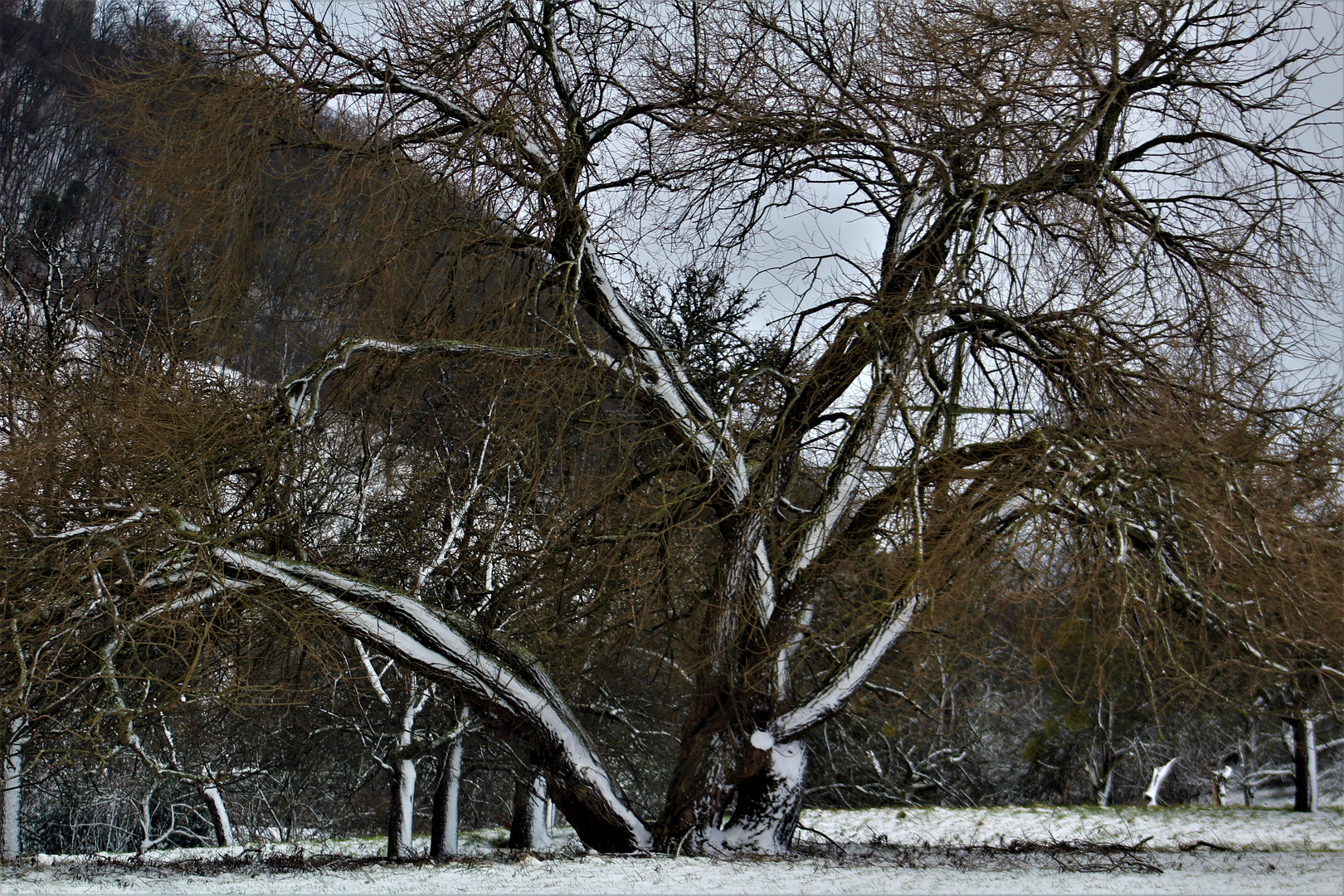 Winter Impressionen rund um die schwäbische Alb