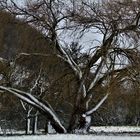 Winter Impressionen rund um die schwäbische Alb