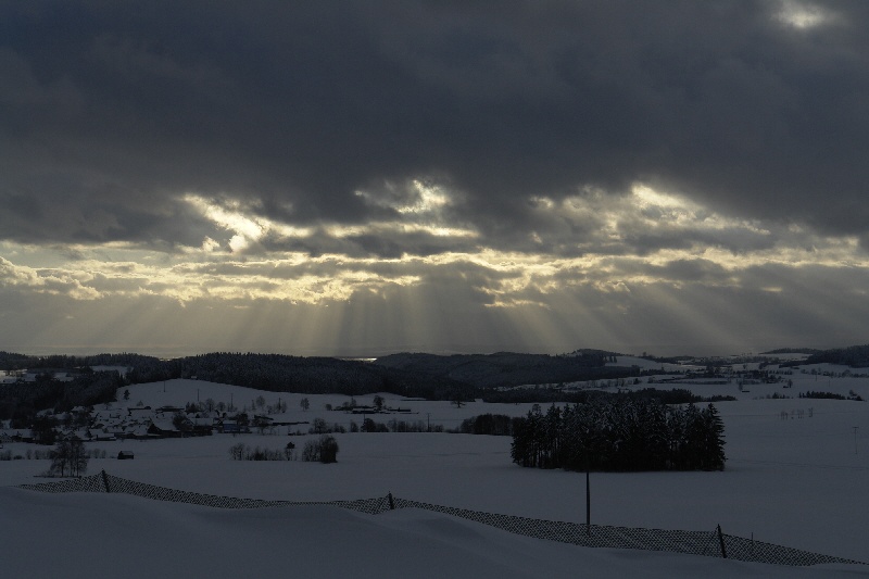 Winter - Impressionen VIII