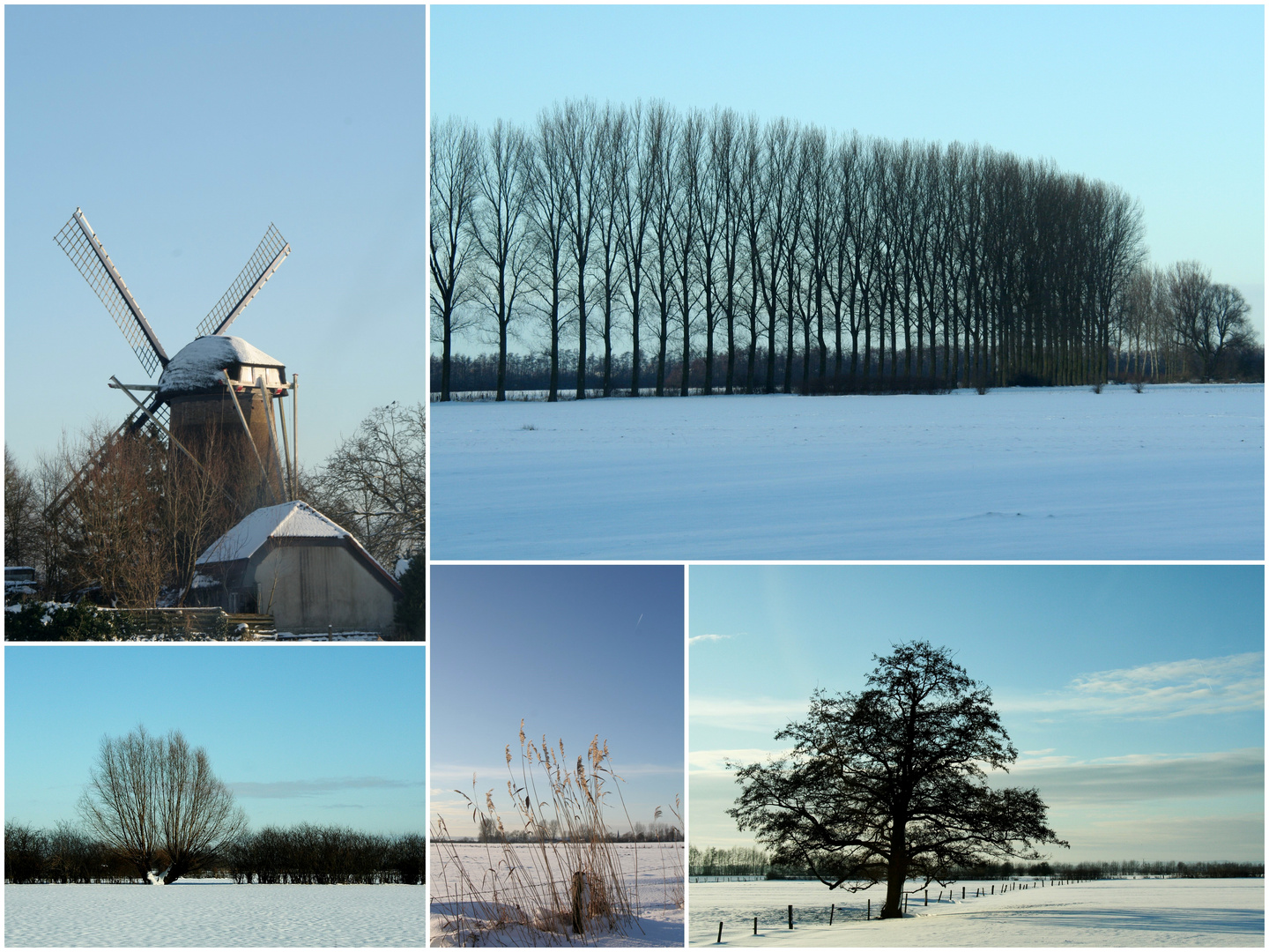 Winter-Impressionen vom Niederrhein