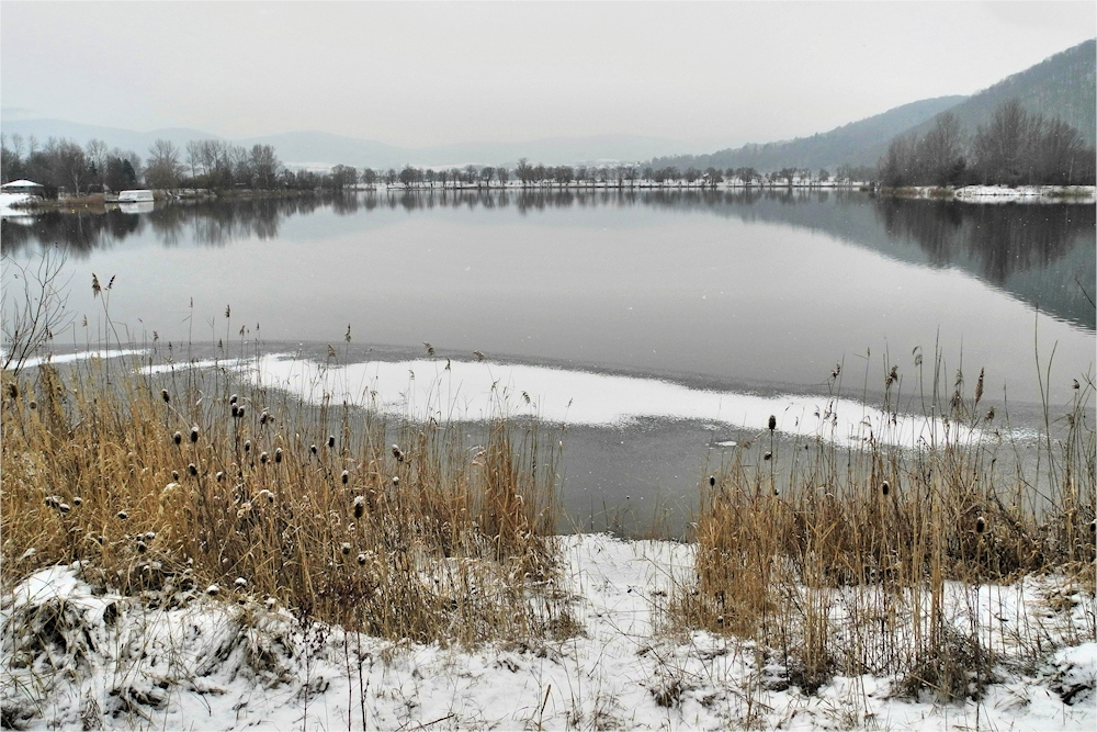 Winter - Impressionen  von dem See -1-