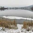 Winter - Impressionen  von dem See -1-