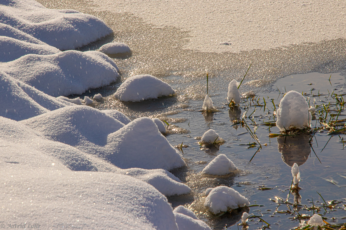 Winter | Impressionen | Wasser