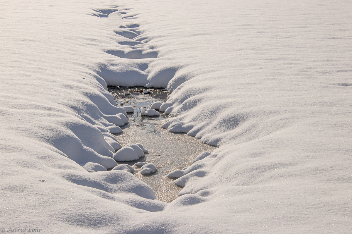 Winter | Impressionen | Wasser