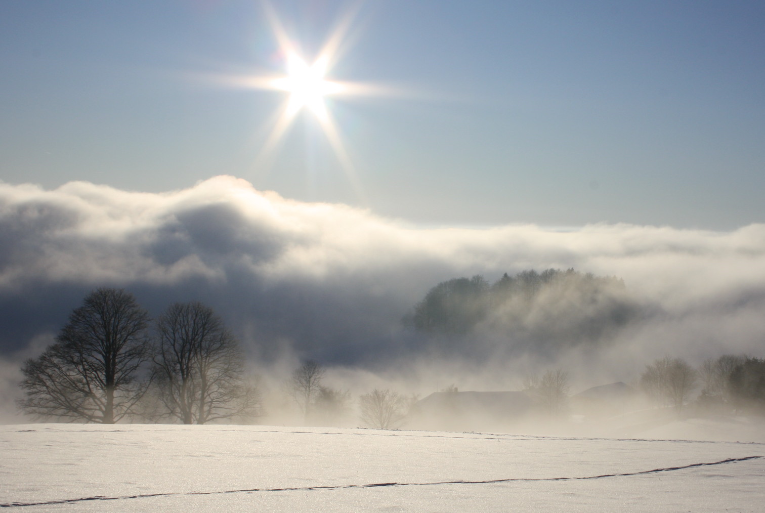 Winter-Impressionen___"Von Sonne in den Nebel"