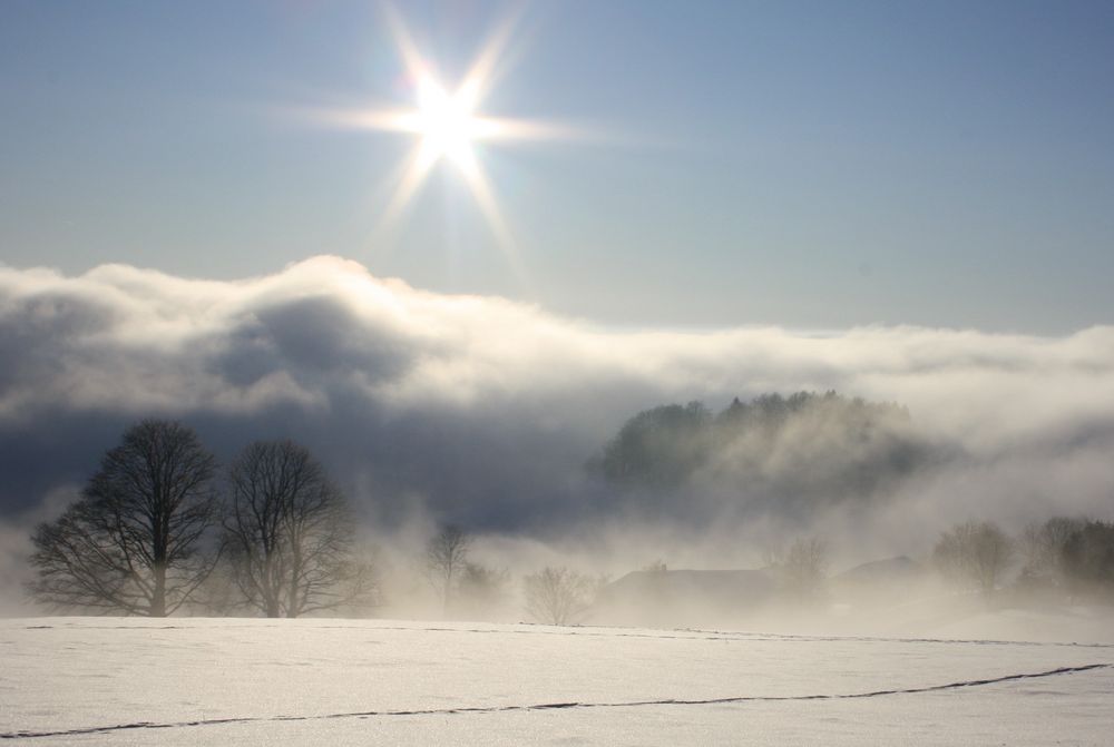 Winter-Impressionen___"Von Sonne in den Nebel" von Martin Schlachter 