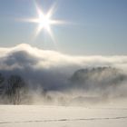 Winter-Impressionen___"Von Sonne in den Nebel"