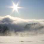 Winter-Impressionen___"Von Sonne in den Nebel"___auf dem Schauinsland