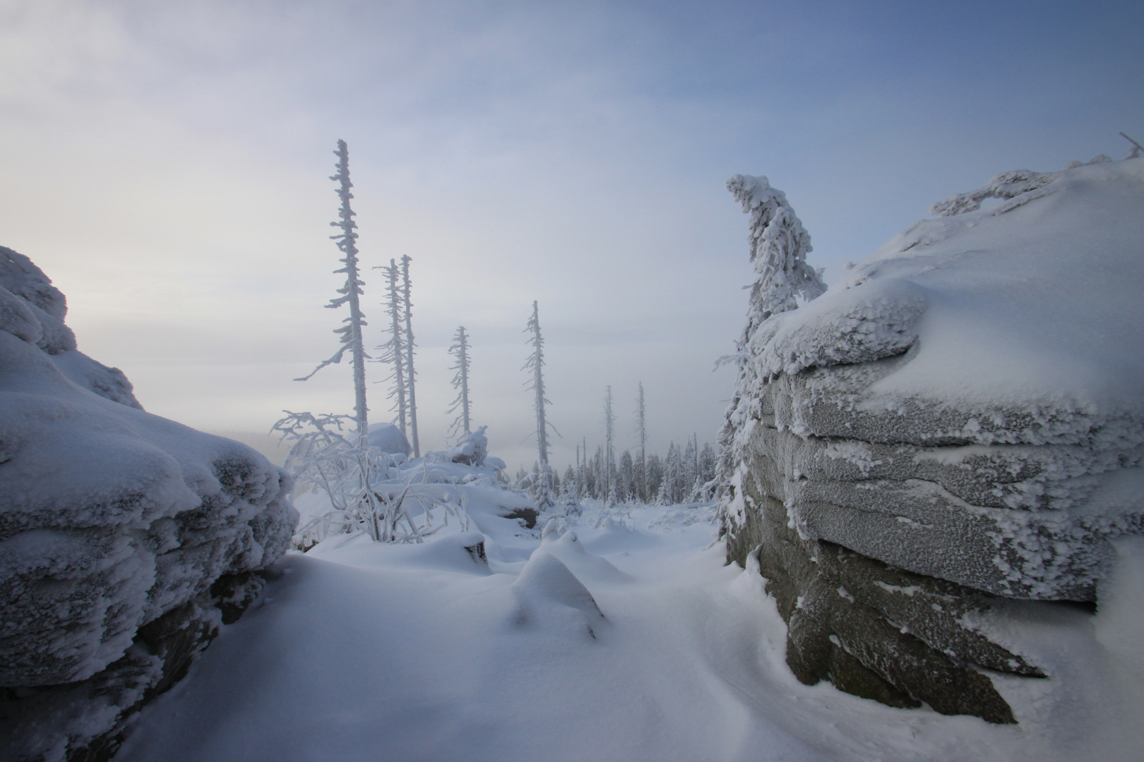 Winter-Impressions