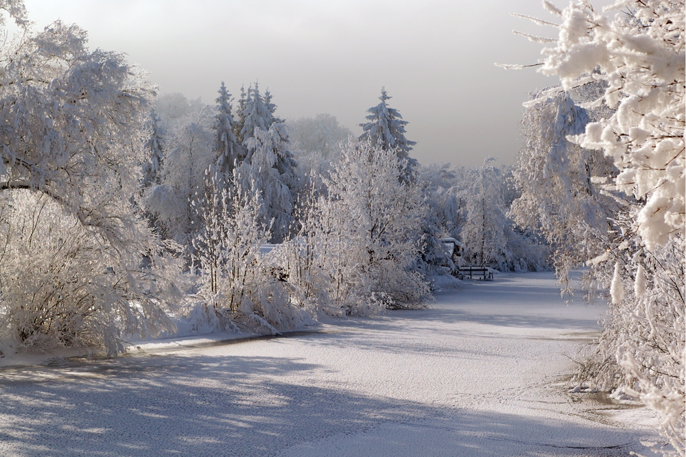 Winter Impressions