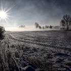 Winter impressions ...