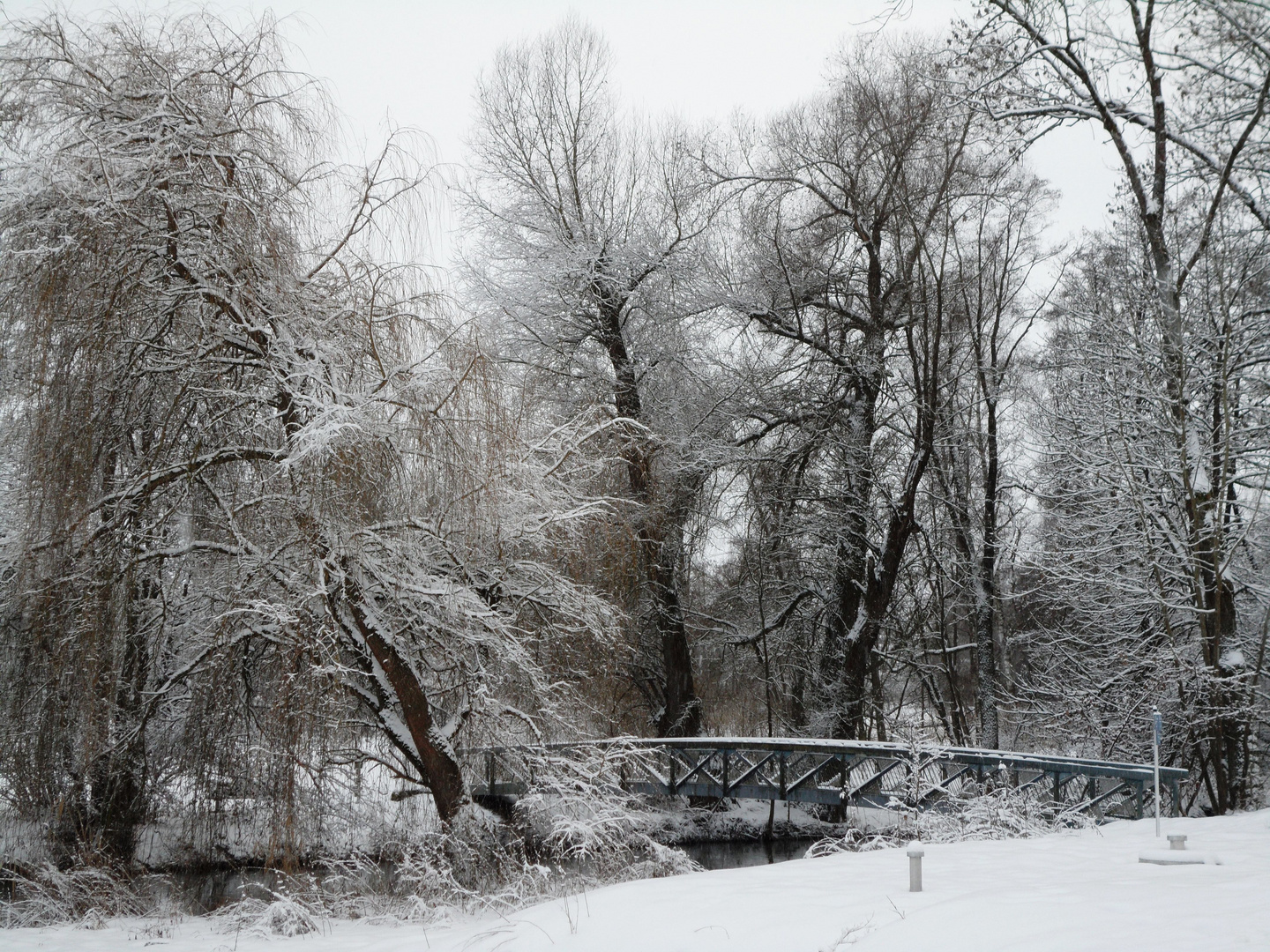 Winter Impressions II