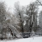 Winter Impressions II