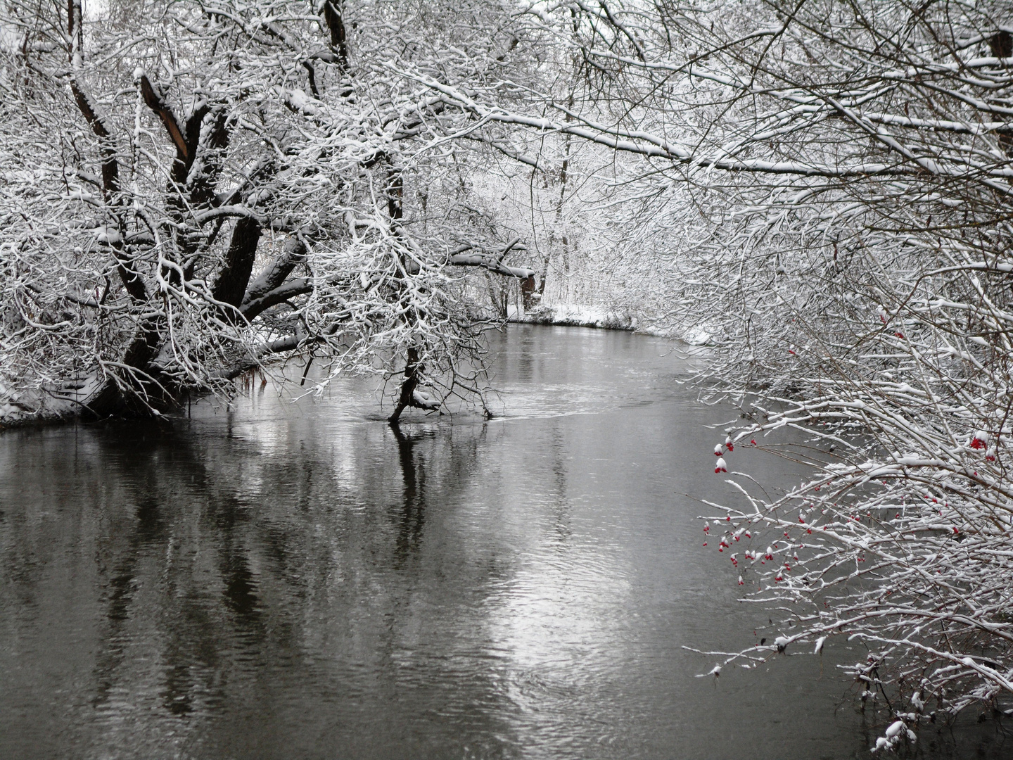 Winter Impressions III