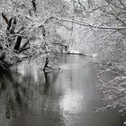 Winter Impressions III