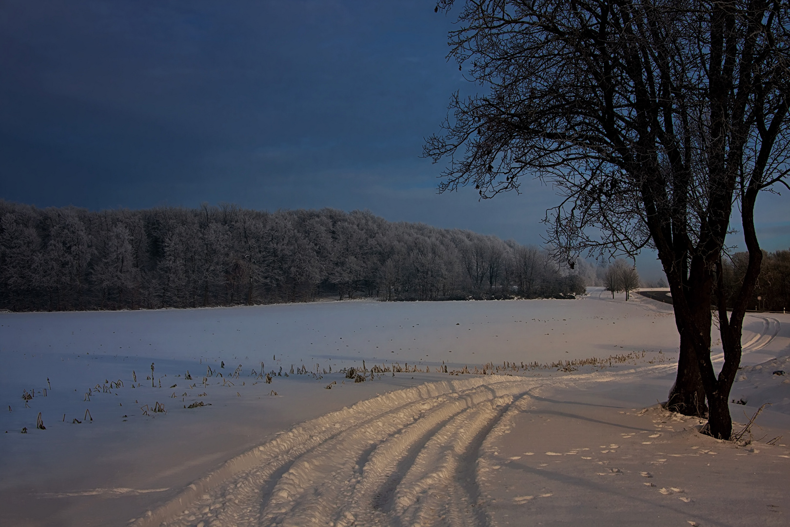 Winter -Impressions of Schwabenländle