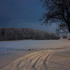 Winter -Impressions of Schwabenländle
