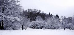 Winter in Aachen