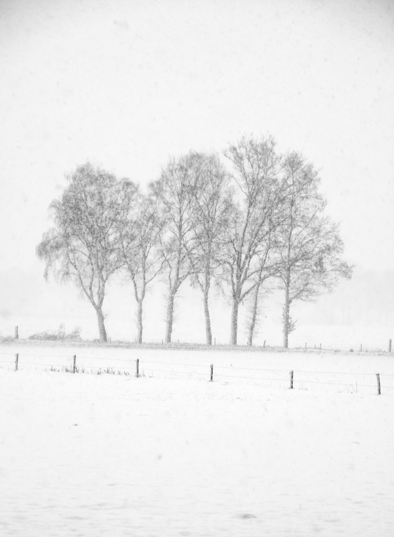 Winter in Aalten, Holland