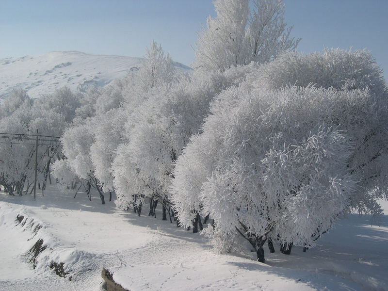 winter in Agri