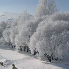 winter in Agri