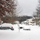 Winter in Alabama