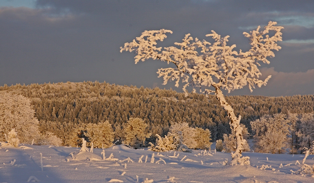 Winter in Albstadt