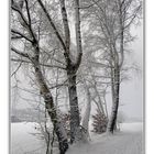 Winter in Amberg