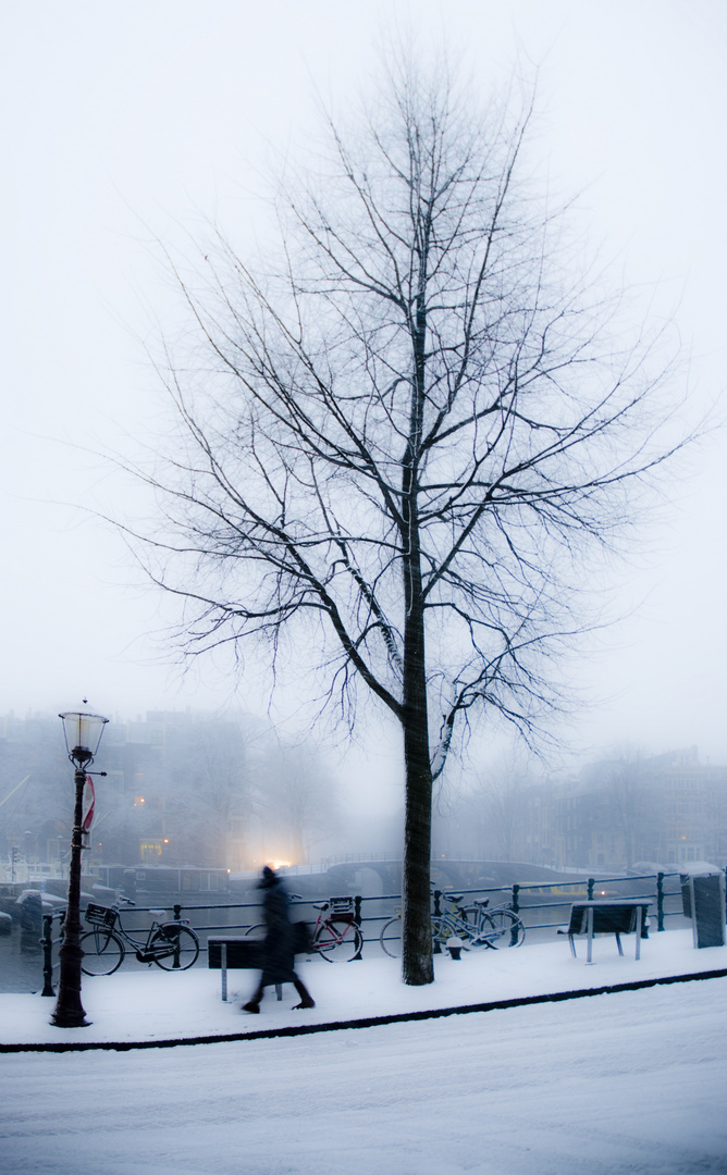 Winter in Amsterdam